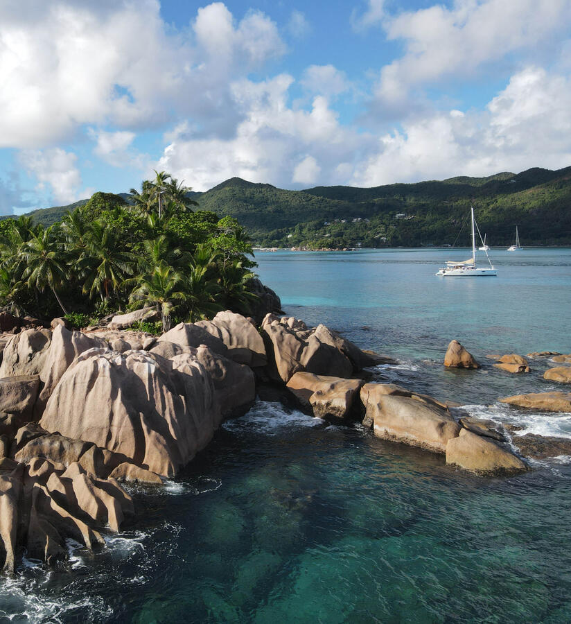 Nesi St. Pierre Nesi St. Pierre