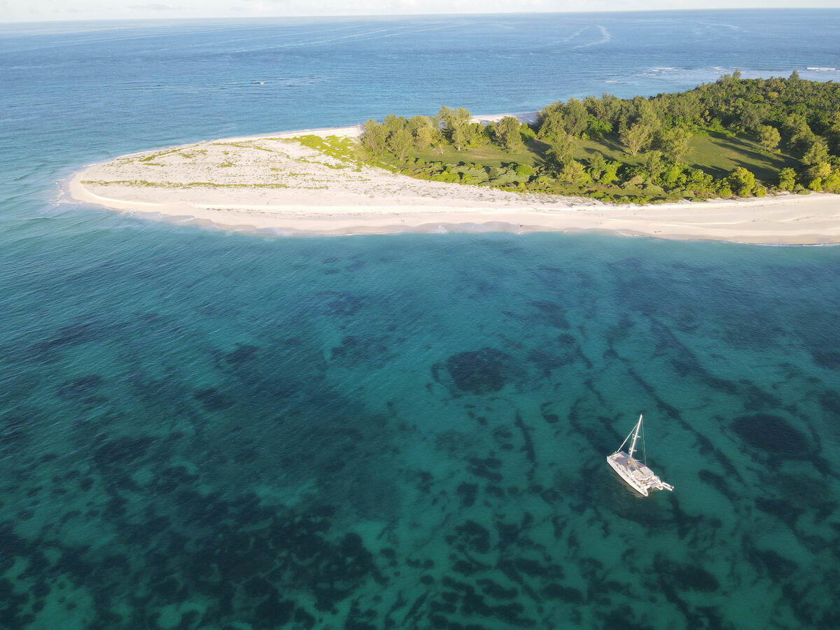 Bird Island Bird Island